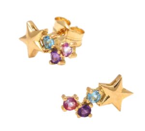 Star Dust Earrings